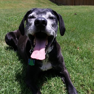 Research Square Unleashed